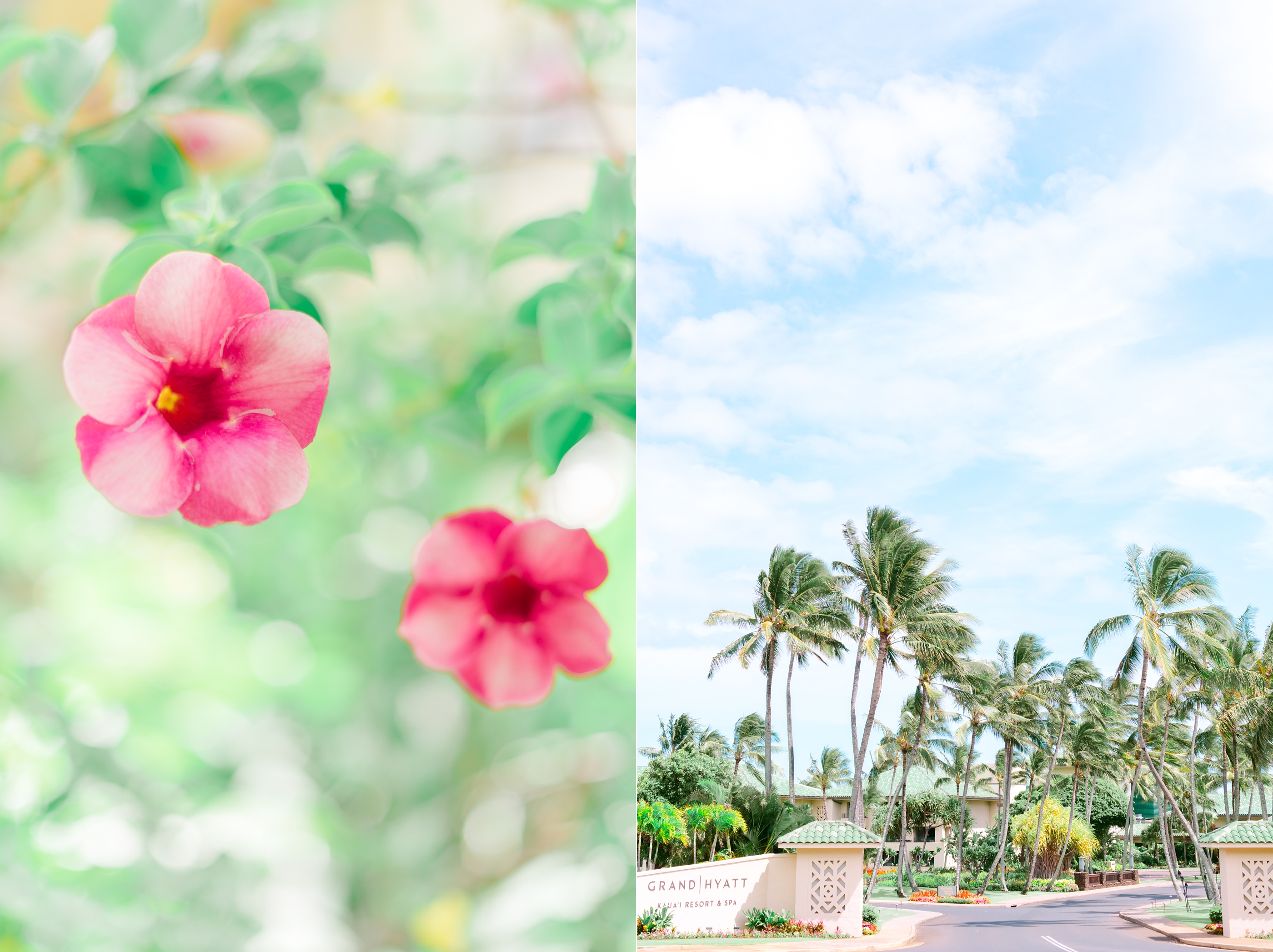 summer-destination-wedding-blush-floral-grand-hyatt-kauai-resort_0002.jpg